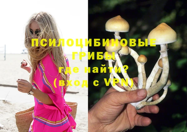 дурь Абдулино