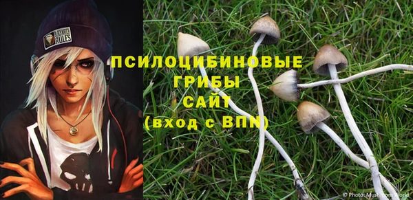 дурь Абдулино